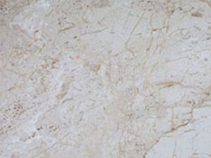 Breccia Sarda - Perlato_Olymp Materialfoto.jpg