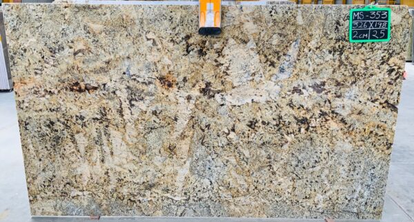 Champagne Gold Granit Rohtafeln 2