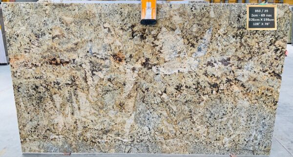 Champagne Gold Granit Rohtafeln1