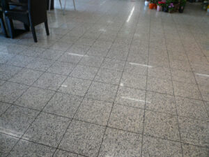 Bianco Sardo Granit Fliesen
